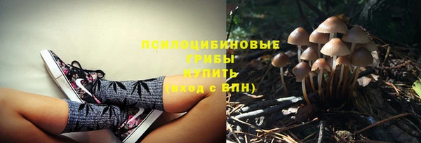герыч Беломорск