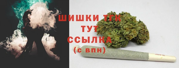 прущий лед Белокуриха