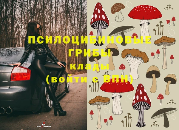 прущий лед Белокуриха