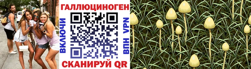 Галлюциногенные грибы мухоморы  Купить  Могоча 