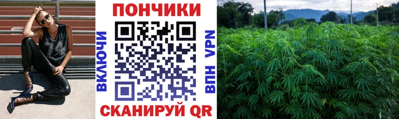 Бошки Шишки SATIVA & INDICA  Купить  Могоча 
